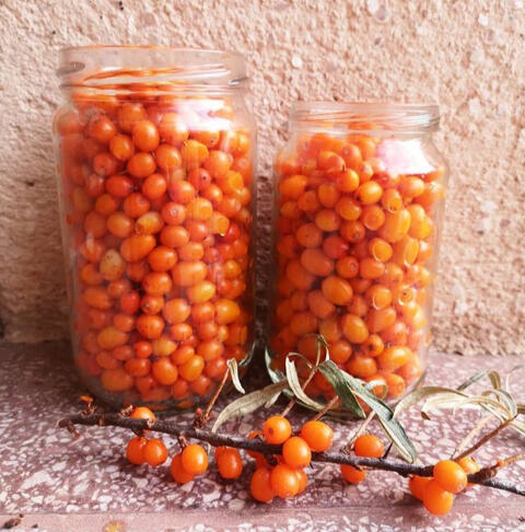 Cătină din Cerașu